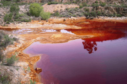 Porn with polluted brown dirty water which cannot be used directly.